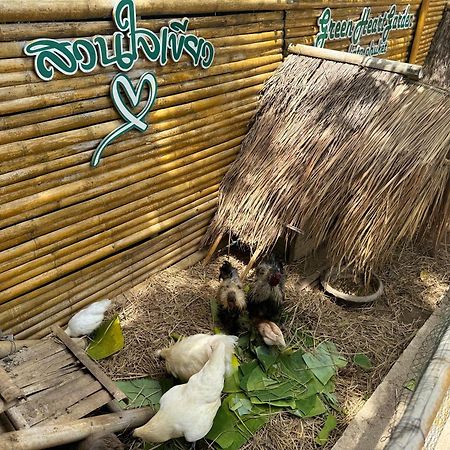 Greenheart Garden View Camp Phuket Kata Plajı Dış mekan fotoğraf