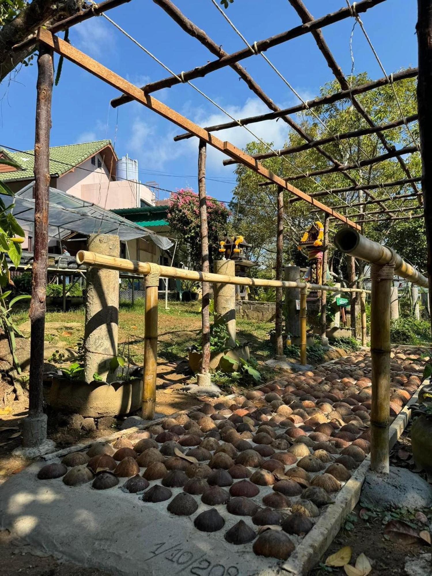 Greenheart Garden View Camp Phuket Kata Plajı Dış mekan fotoğraf
