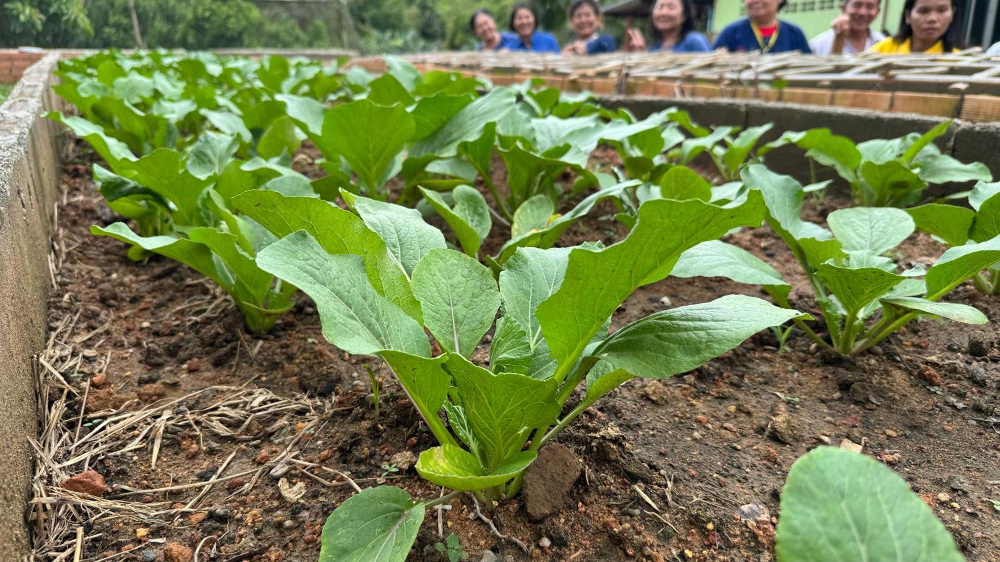 Greenheart Garden View Camp Phuket Kata Plajı Dış mekan fotoğraf